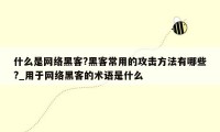 什么是网络黑客?黑客常用的攻击方法有哪些?_用于网络黑客的术语是什么