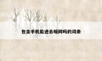 包含手机能进去暗网吗的词条