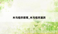 木马程序原理_木马程序漏洞