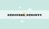 渗透测试实用指南_渗透测试参考书