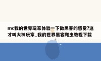 mc我的世界玩家体验一下做黑客的感觉?这才叫大神玩家_我的世界黑客爬虫教程下载