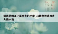 霸道总裁儿子是黑客的小说_总裁爸爸遭黑客入侵小说