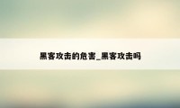 黑客攻击的危害_黑客攻击吗