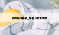 黑客等级排名_黑客技术的等级