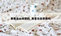 黑客怎么攻击的_黑客攻击草他吗