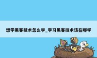 想学黑客技术怎么学_学习黑客技术该在哪学