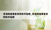 青海网络黑客多吗知乎贴吧_青海网络黑客多吗知乎贴吧