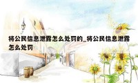 将公民信息泄露怎么处罚的_将公民信息泄露怎么处罚