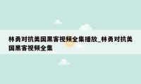 林勇对抗美国黑客视频全集播放_林勇对抗美国黑客视频全集