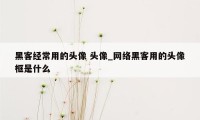 黑客经常用的头像 头像_网络黑客用的头像框是什么