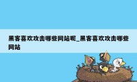 黑客喜欢攻击哪些网站呢_黑客喜欢攻击哪些网站