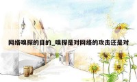 网络嗅探的目的_嗅探是对网络的攻击还是对