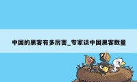 中国的黑客有多厉害_专家谈中国黑客数量