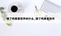 饿了吗黑客软件叫什么_饿了吗黑客软件