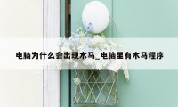 电脑为什么会出现木马_电脑里有木马程序