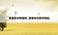 黑客技术教程网_黑客技术教学网站